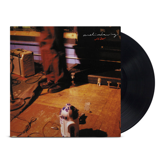 Visitor LP (Black)